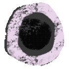 Site logo, which resembles a trap door